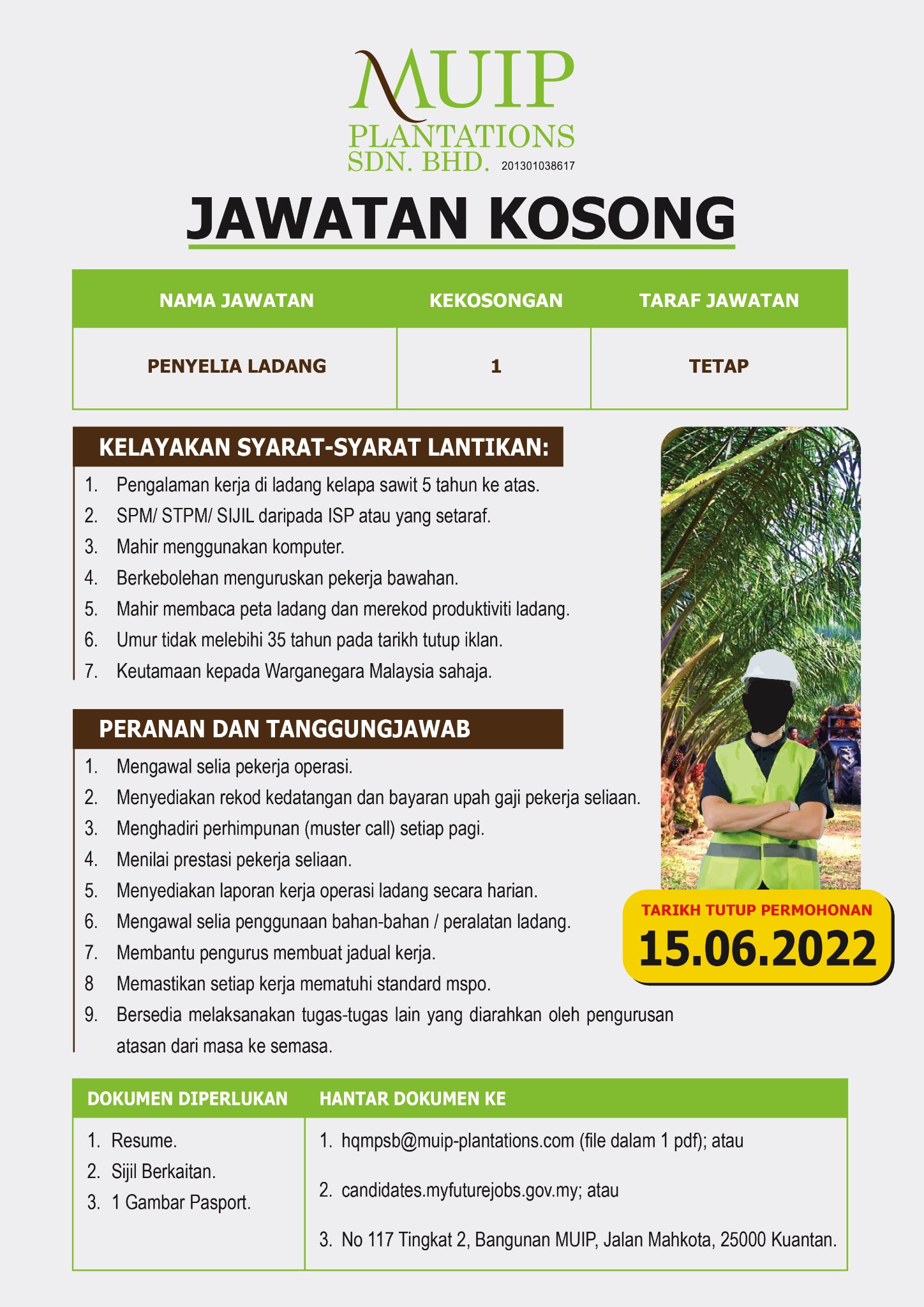 IKlan Jawatan Muip Plantations Sdn Bhd Portal Kerja Kosong Graduan