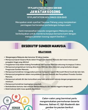 Iklan Jawatan Yp Plantation Holdings Sdn Bhd Portal Kerja Kosong Graduan