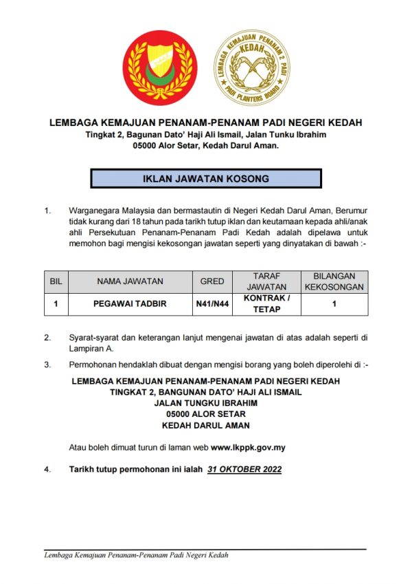 311824365 425400146415759 3302179938672903204 N 600x849