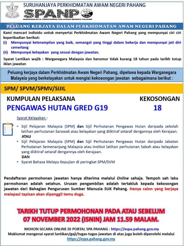 312980132 483508287138150 2092663782748650815 N 600x801