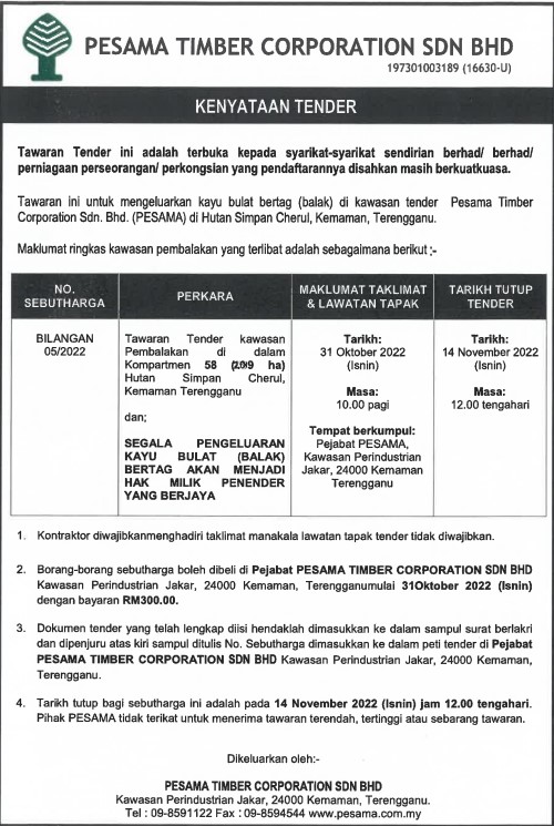 313413623 674718327545959 2220843583039144776 N