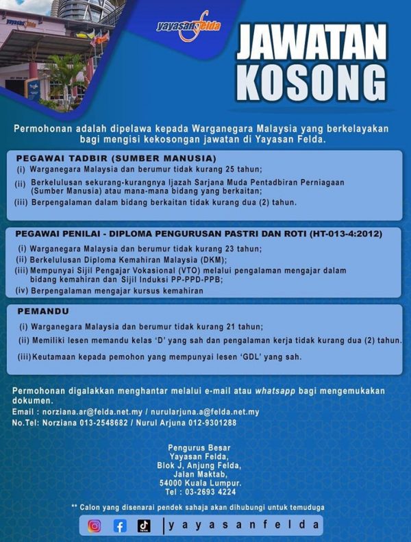 312807289 632854415112921 1959151980870816746 N 600x791