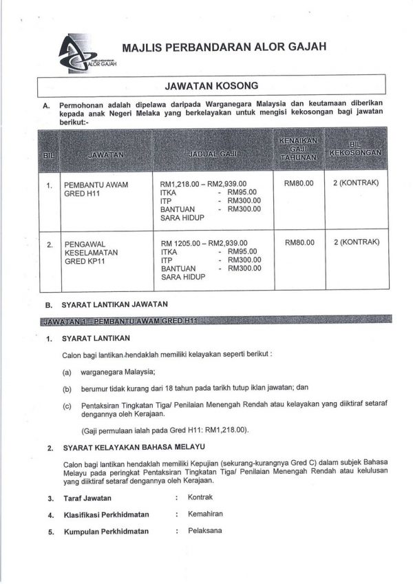 313402167 436572998655976 813736437567881651 N 600x848