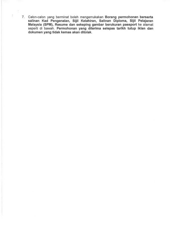 313407827 649351306834947 5420157631836943002 N 600x848