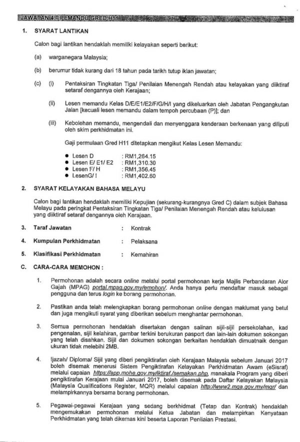 328611813 1242458663029675 4550507322886297555 N 600x884