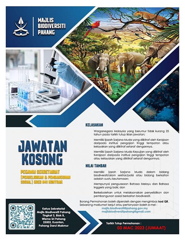 331432741 560889399445977 7728257770380813324 N 600x779