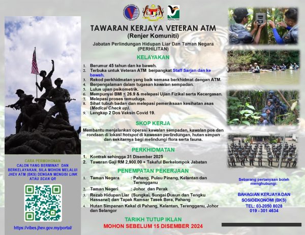 468404628 978695047626750 3183848579077649593 N 600x464