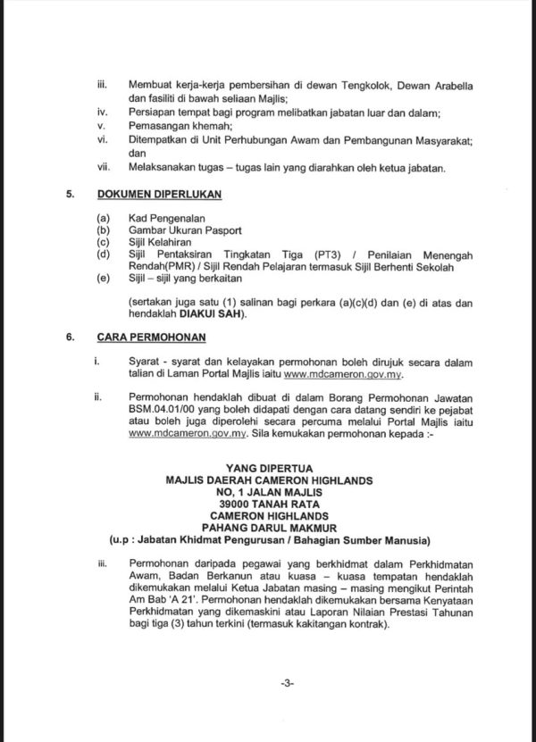 474139323 980028130841003 1512827721388730988 N 600x831