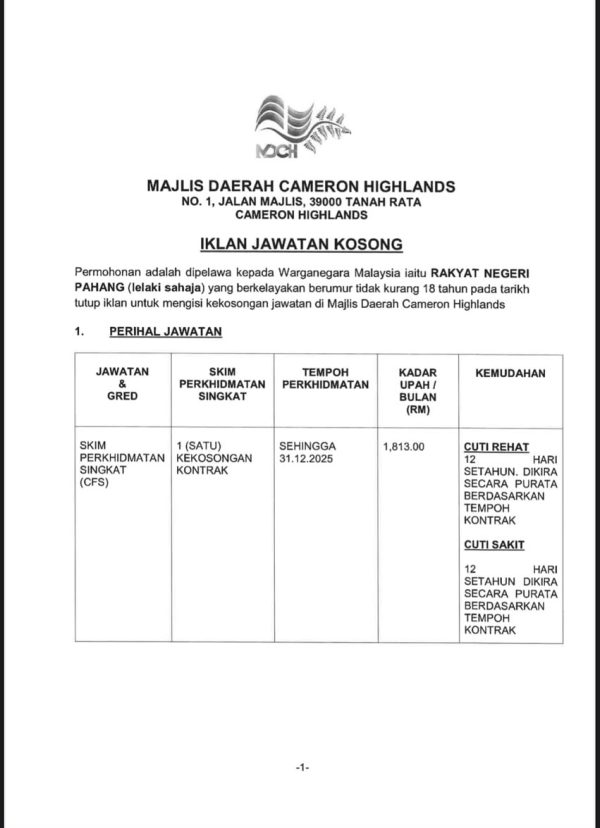 474586680 980028094174340 3777732467743813961 N 600x828