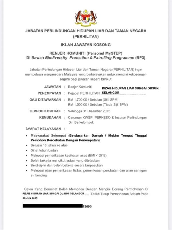 504332161 994644106193282 6005600424023624786 N 600x800